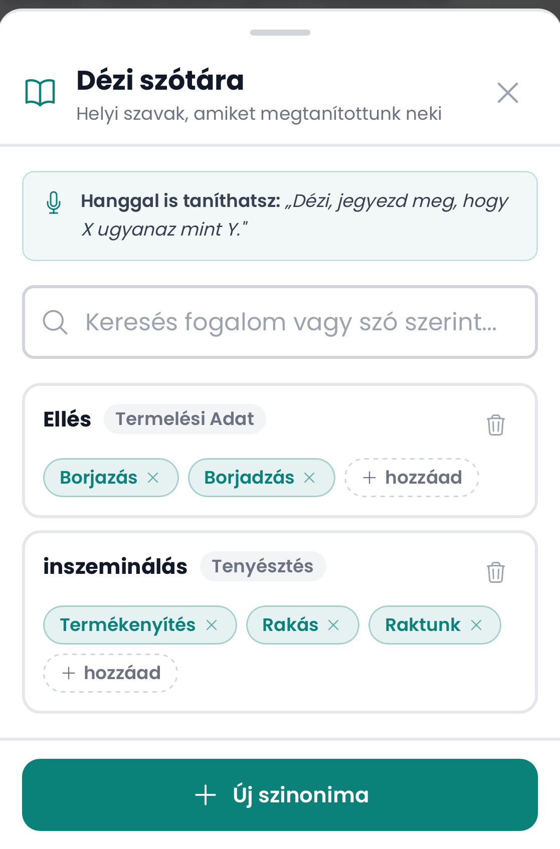 Dézi szótára — helyi szavak, amiket megtaníthatsz Dézinek
